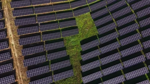 Solar panels placed in rows in a green field for energy production 库存影片 329999537