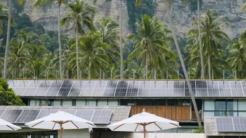 Solar panels on resort building surrounded by palm trees in tropical forest Stock Footage 282874749