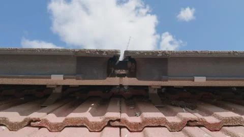 Solar panels on rooftop pan down revealing red roof tiles, TV aerial and bird Stock Footage 344332136