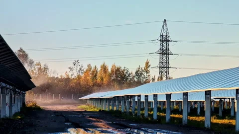 Solar panels in a rural area during sunrise with autumn trees and a power line Vídeo Stock 293484642