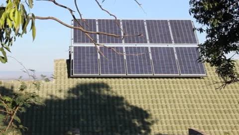 Solar Panels Seen in Backdrop of Bushes and Trees. Peeking Through Bushes Stock Footage 8895576