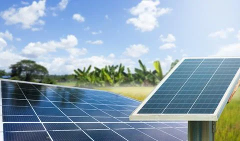 Solar panels set against a backdrop of trees and a vibrant blue sky. Stock Photos