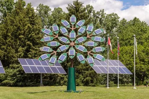 Solar panels in shape of tree Stock Photos