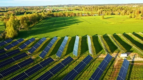 Solar panels in sloped rows catch sunlight on green countryside farmland on Stock Footage 310732050