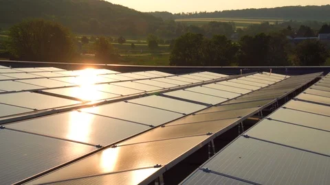 Solar Panels in Spring with Pollen during Sunset Video stock 117851771