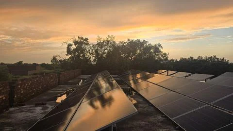 Solar Panels at Sunset with Trees in Background Stock Photos
