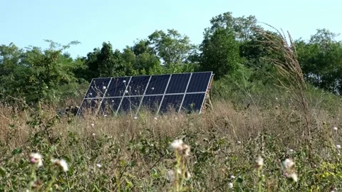 Solar panels surrounded by grass and trees. Flowers in the foreground sway in Video stock 159709556