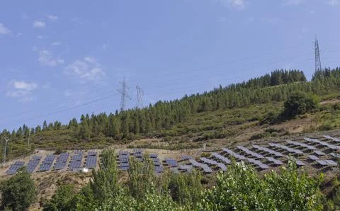 Solar panels surrounded by trees generating clean energy in Spain. Foto stock