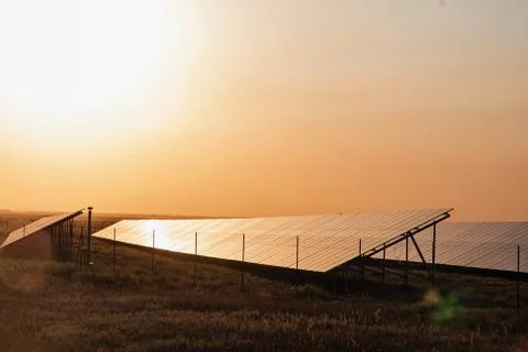 Solar panels in warm sunset light Stock Photos
