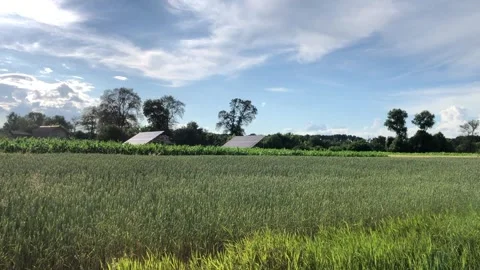 Solar panels in a wheat field on a sunny day. Stock-Footage 341555870