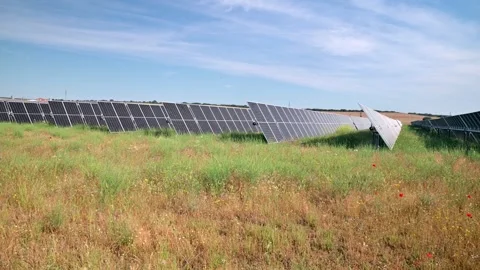 Solar Panels in Wildflower Meadow at a Renewable Energy Farm Under Blue Sky 库存影片 340632003