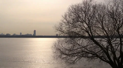 Solar path reflected on the frozen surface and picturesque tree Stock Footage 36527239