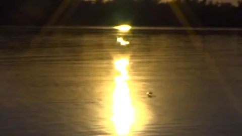 Solar path on the river Stock Footage 79924162