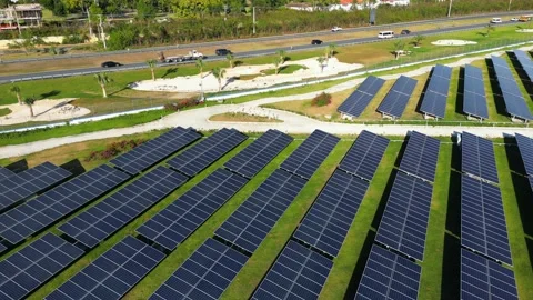 Solar power panels row at sunset in the green field with the traffic jam in the Stock Footage 236149026