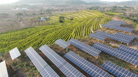 Solar power station in mountain Stock Footage 167089611