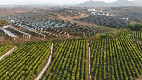 Solar power station in mountain Stock Footage 167091268