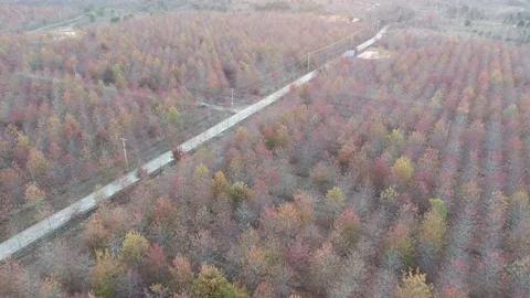 Solar power station in mountain Stock Footage 167092438
