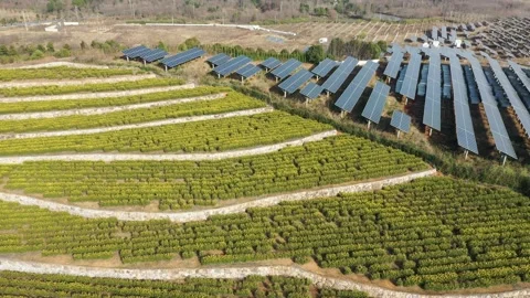 Solar power station in mountain Stock Footage 167093987