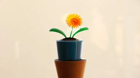 Solar powered flower. Stock Footage 18089505