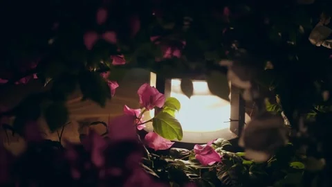 Solar powered garden lantern. low garden lantern shines brightly at night Stock-Footage 167104691