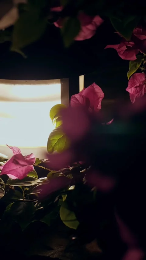 Solar powered garden lantern. low garden lantern shines brightly at night, Stock Footage 319017496
