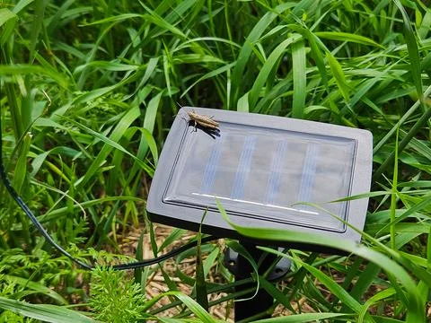Solar Powered Garden Light Panel Stock Photos