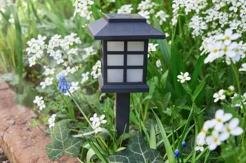 Solar powered lamp surrounded by white Arabis and blue Muscari flowers in s.. Stock Photos