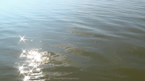 Solar reflections and glare on the surface of soothing waves of water in summer Stock Footage 117519446