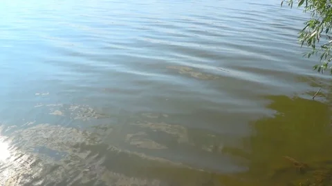 Solar reflections and glare on the surface of soothing waves of water in summer Stock Footage 119283717