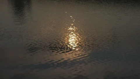 Solar reflections and glare on the surface of soothing waves of water in summer Stock-Footage 119489677