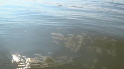 Solar reflections and glare on the surface of soothing waves of water in summer Stock-Footage 119625980