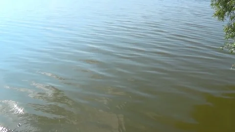 Solar reflections and glare on the surface of soothing waves of water in summer Stock-Footage 119703544