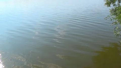 Solar reflections and glare on the surface of soothing waves of water in summer Stock-Footage 119888464