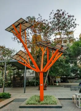 Solar technology tree with solar panels above in Pune, Maharashtra, India sho Stock Photos