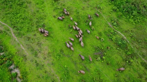 Solar20 Stock Footage 205102999