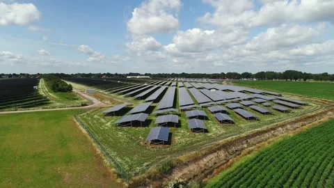 Solarfarm in the Netherlands Stock Footage 289908673