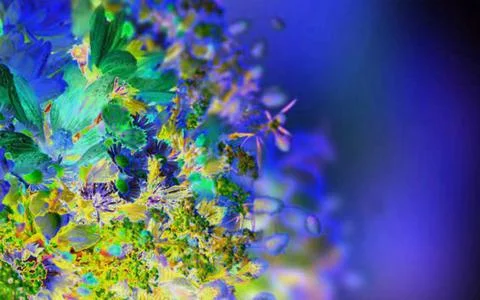 Solarize back 스톡 일러스트