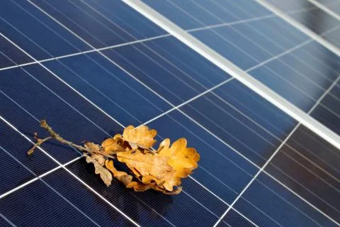 Solarmodule im Herbst Stock Photos