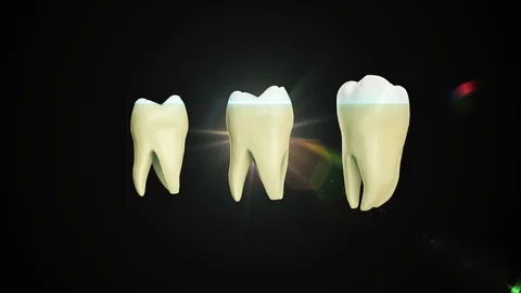 Solated rotation teeth root 3D realistic animation Stock Footage 107321127