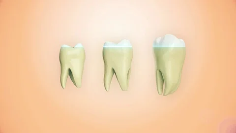 Solated rotation teeth root 3D realistic animation Stock Footage 107321136