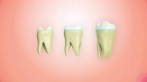 Solated rotation teeth root 3D realistic animation Stock Footage 107321139