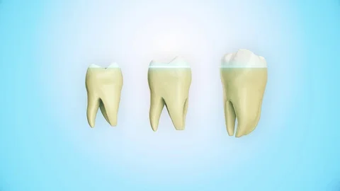 Solated rotation teeth root 3D realistic animation Stock Footage 107321140