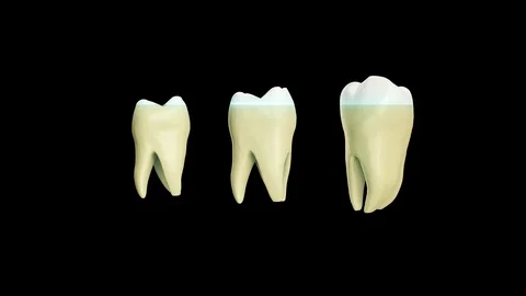 Solated rotation teeth root 3D realistic animation Stock Footage 107321144