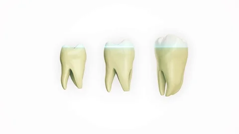 Solated rotation teeth root 3D realistic animation Stock Footage 107321147