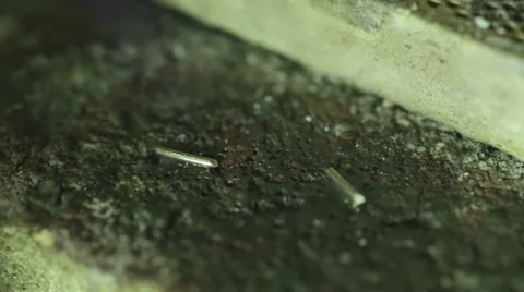 Soldering macro shots Stock Footage 64684552