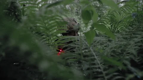 Soldier aims a laser sight at the enemy Stock Footage 327350646