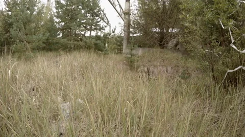 Soldier aims from the machine gun in grass 動画素材 68450661