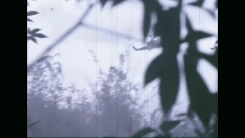 Soldier crawls along ground while others walk their way through bush - 1969 Stock Footage 96143392