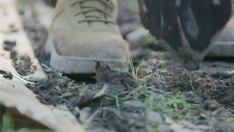Soldier digging hole in the dirt Stock Footage 77014662