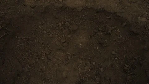 The soldier falls to the ground 2 Stock Footage 323017212